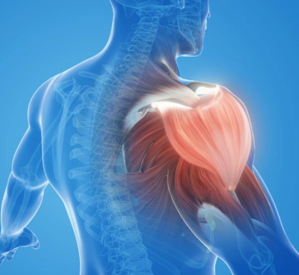 WhatsApp Image 2025-11-05 at 11.58.54 AM (1) (2)