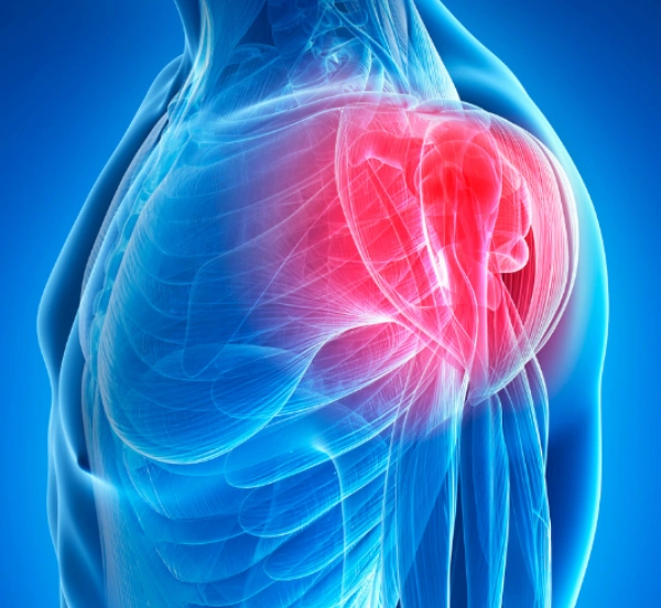 WhatsApp Image 2025-11-05 at 11.58.54 AM (1) (3)