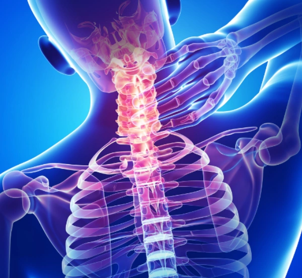 WhatsApp Image 2025-11-05 at 11.58.54 AM (1) (4)