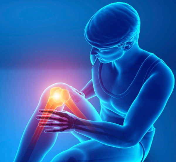 WhatsApp Image 2025-11-05 at 11.58.54 AM (1) (5)