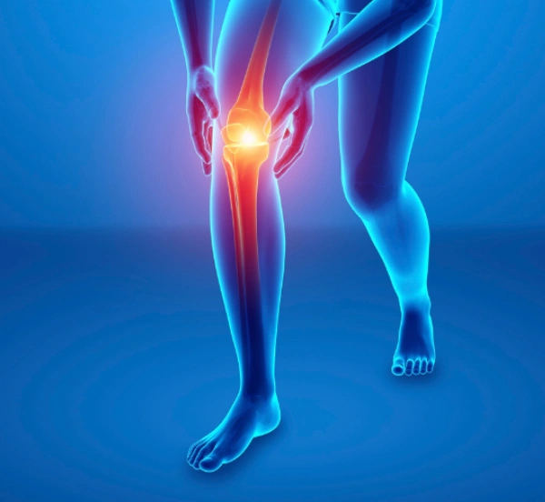 WhatsApp Image 2025-11-05 at 11.58.54 AM (1) (6)