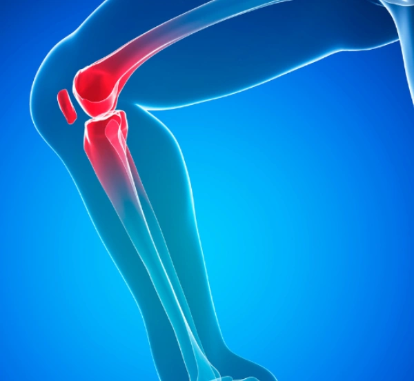 WhatsApp Image 2025-11-05 at 11.58.54 AM (1) (7)